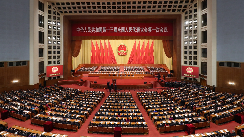 全体会议各项议程进行完毕后，举行宪法宣誓仪式