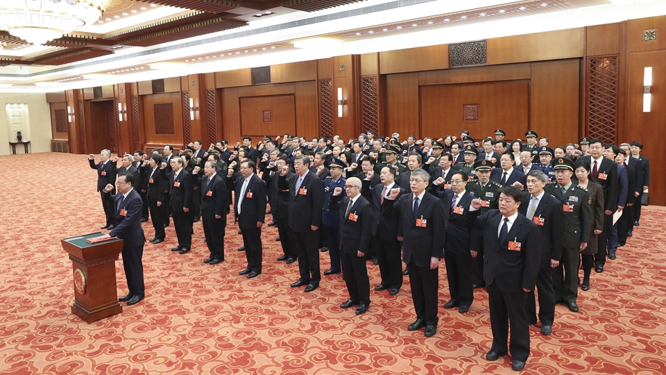 十三届全国人大专门委员会组成人员进行宪法宣誓