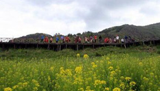 黑龍江遊客走進新疆阿勒泰&ldquo;明星&rdquo;景區感受北疆風光