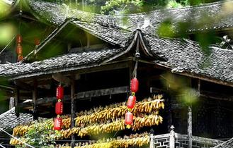 湖北恩施：吊腳樓裏曬秋收