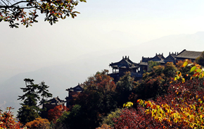 九月九日望乡台，他席他乡送客杯。