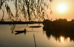 重阳独酌杯中酒，抱病起登江上台。