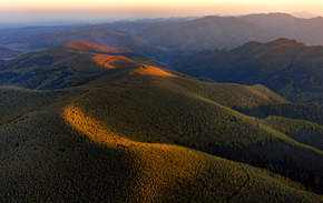 九日登高处，群山入望赊。