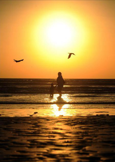 席慕蓉：“母亲是伞，是豆荚”