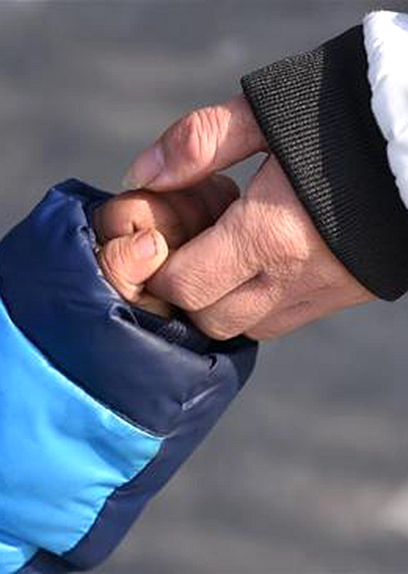 贾平凹：“后半生父亲是儿子的影子”