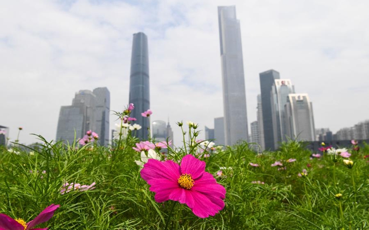 新华微评·学习路上：改革开放再出发