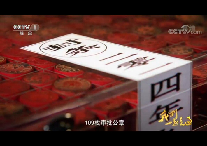 第十集 一枝一叶总关情
