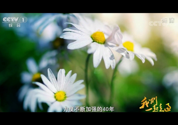 第十四集 绿水青山就是金山银山