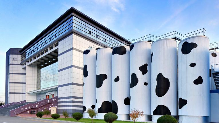 从草原牛到世界牛，一杯牛奶的改革开放之路