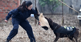 一个&ldquo;警犬妈妈&rdquo;的十年坚守