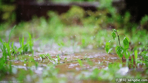 万物生长 a股迎春