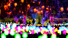 唐山南湖：流光溢彩迎元宵