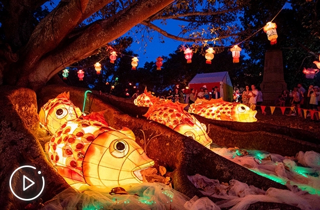 绝美！藏在诗词中的元宵意象，惊艳了时光