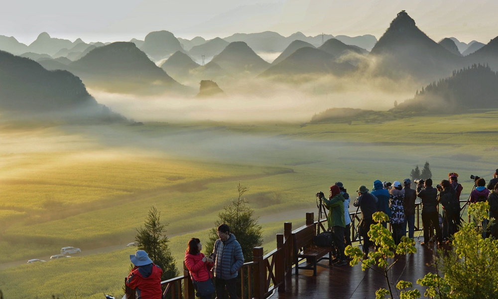 元宵佳节赏花时