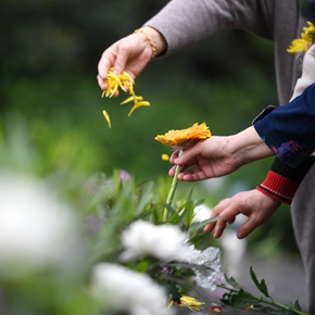 新风尚 &ldquo;无火祭祀&rdquo;