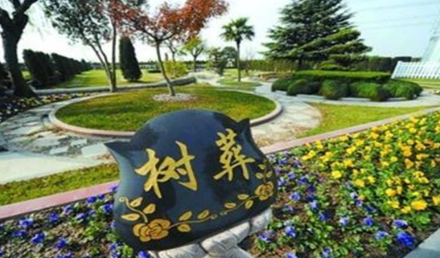 新华网评：让&ldquo;绿色殡葬&rdquo;观念深入人心