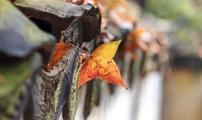 念奴娇&middot;过洞庭