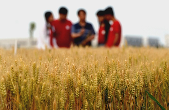 &ldquo;农&rdquo;字头照样&ldquo;大&rdquo;作为 &mdash;&mdash;丰收时节看涉农高校人才在希望的田野