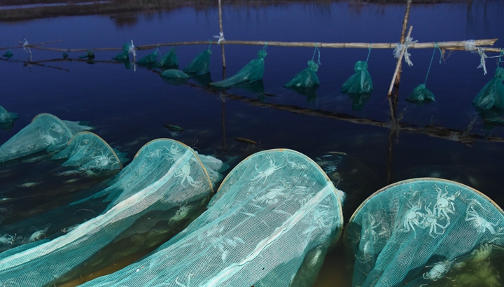 水润民心&mdash;&mdash;全国农村饮水安全攻坚成效观察