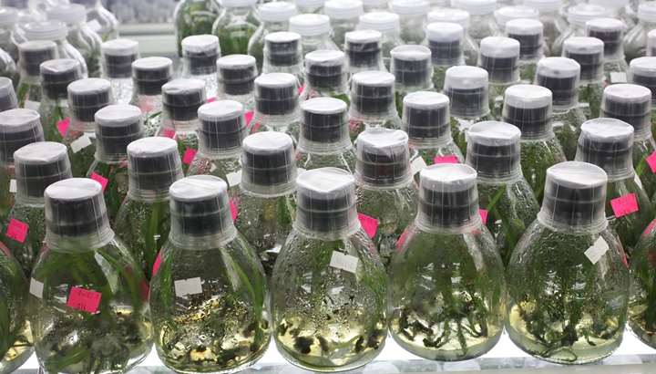 &ldquo;科技秀才&rdquo;给田野带来新希望