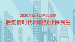 【2020年新华网两会调查】后疫情时代的稳就业保民生