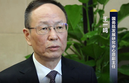 王一鸣：巩固我国经济稳定转好的基本趋势