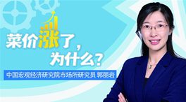 菜价涨了，为什么？