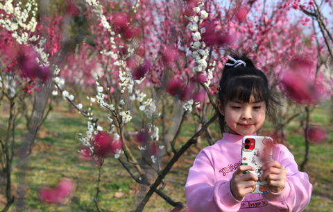 踏青赏梅 享受春光