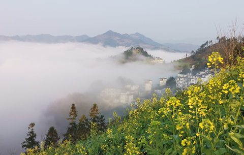 云揽春光 诗意皖南