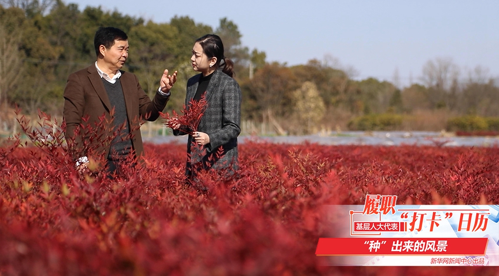 "种"出来的风景