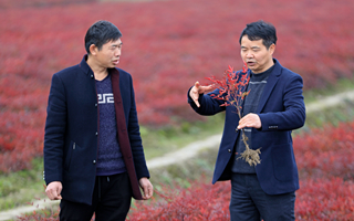 解锁白塔“宝藏”资源 让“美丽乡村”全域绽放