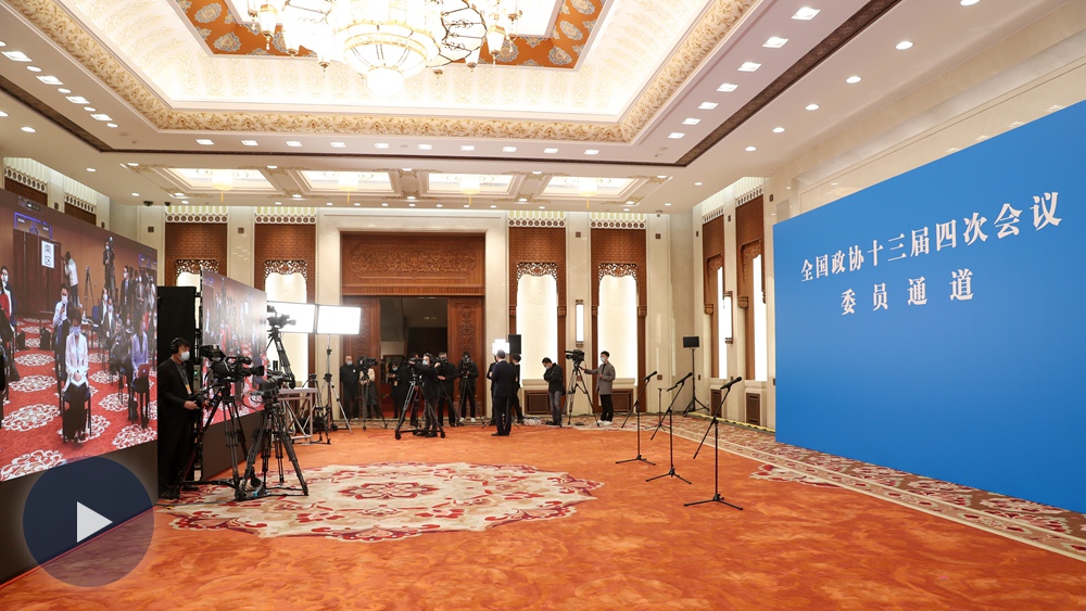全国政协十三届四次会议首场“委员通道”