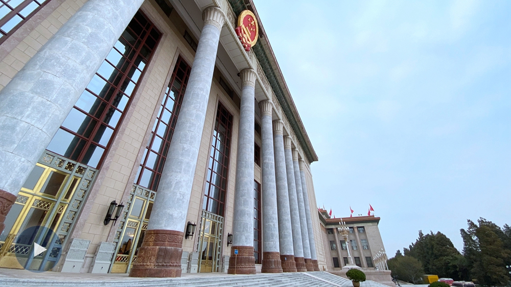 全国政协十三届四次会议第二场“委员通道”