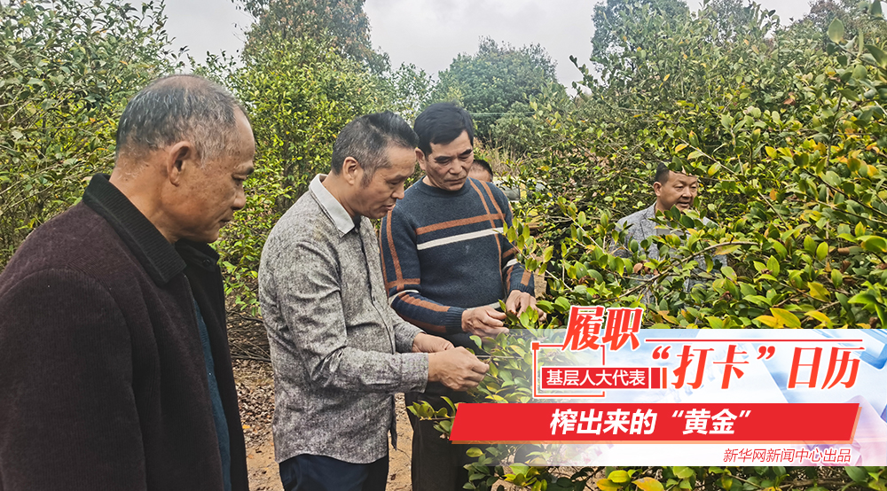 &ldquo;榨&rdquo;出来的黄金