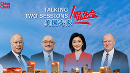 全球连线｜假如我来上两会