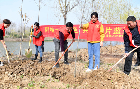 安徽亳州：义务植树添新绿