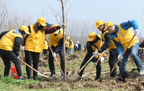安徽合肥：义务植树为绿水青山添彩助力