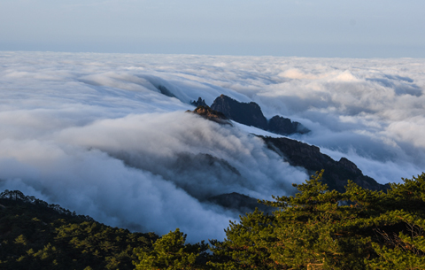 雨后黄山 流云如瀑