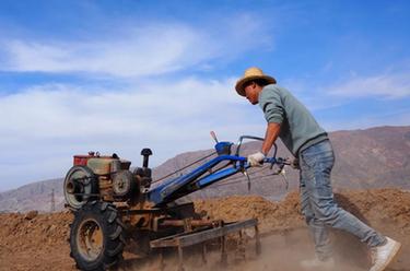 黄河岸边春来早&mdash;&mdash;易地扶贫搬迁村的春耕故事