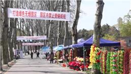 文明追思守护&ldquo;绿色清明&rdquo;