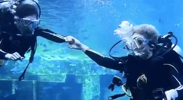 新华网 让新闻离你更近