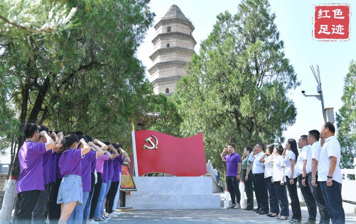 巍巍宝塔 初心永照 ——习近平总书记到过的红色圣地之陕西篇
