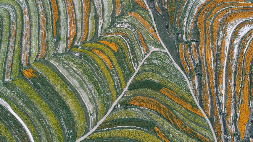 奋斗百年路 启航新征程&middot;神州巡礼丨宁夏：跨越千年贫困 向&ldquo;新&rdquo;加速先行