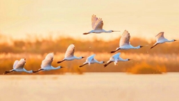 世界环境日丨你我皆是自然之子