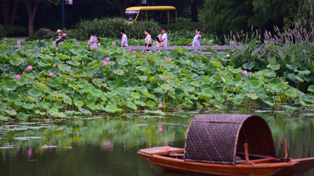 端午节假期国内旅游出游超8913万人次