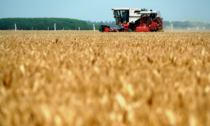 习近平的小康故事丨“中国人的饭碗任何时候都要牢牢端在自己手上”