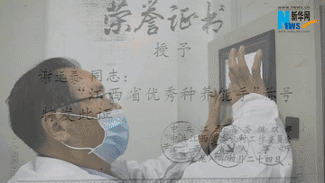 农民发明家的菌菇梦