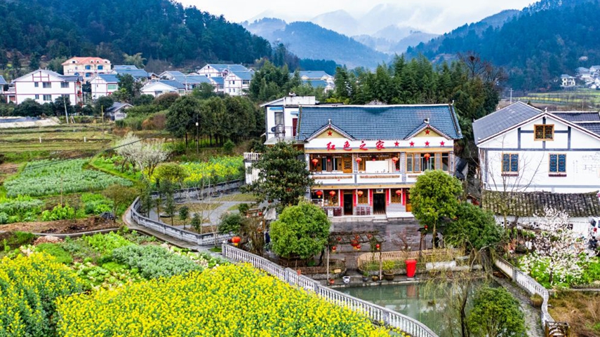 习近平时间｜总书记的这一周