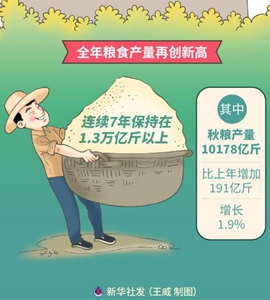 再创新高！今年全国粮食总产量13657亿斤