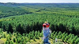 聆听习主席2022年新年贺词：&ldquo;让我们一起向未来&rdquo;